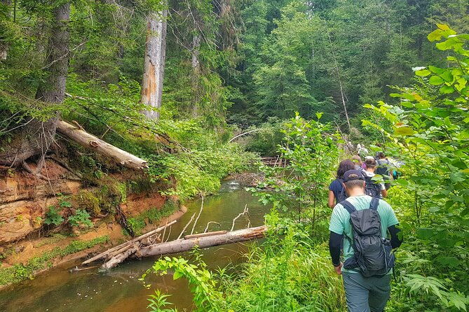 full-day-gauja-national-park-ultimate-hiking-sightseeing-trip