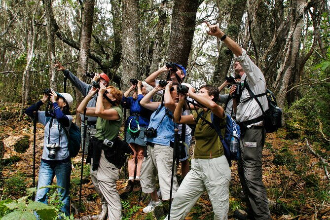full-day-hakalau-forest-reserve-bird-watching-adventure