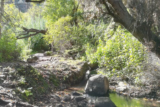 full-day-hiking-and-waterfalls-experience