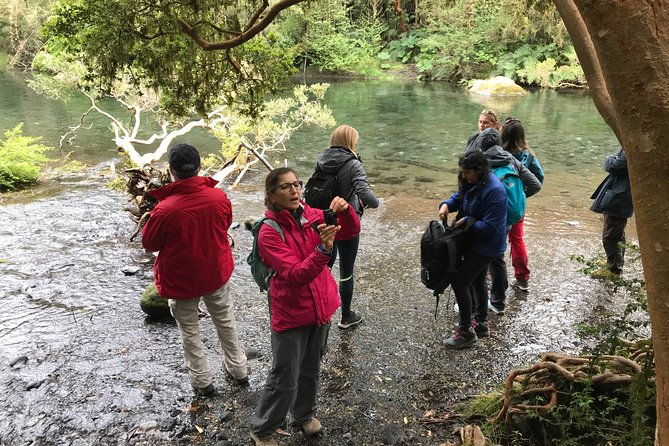full-day-hiking-solitario-trail-osorno-petrohue-falls