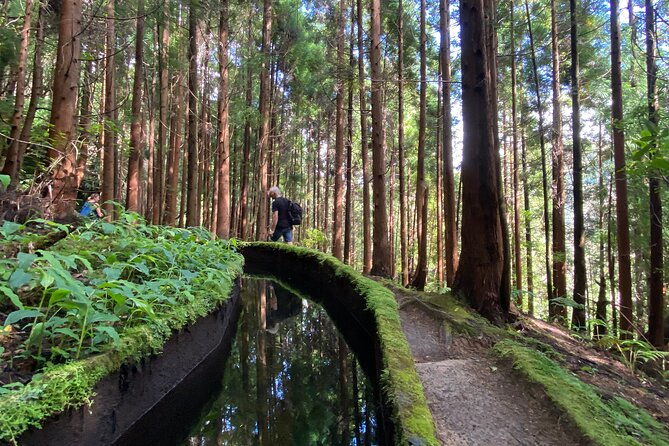 full-day-hiking-trail-in-lagoa-do-fogo-sao-miguel