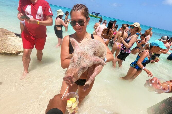 full-day-luxury-private-rose-island-pigs-and-turtles-excursion