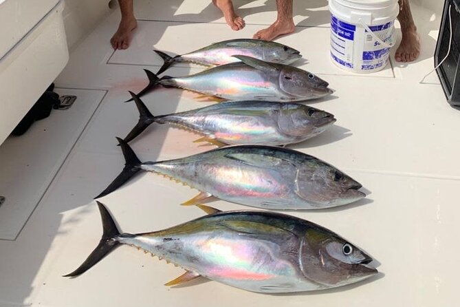 full-day-playa-flamingo-private-fishing-trip