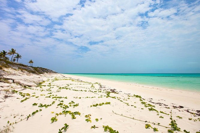 full-day-private-island-getaway-in-the-turks-and-caicos-islands