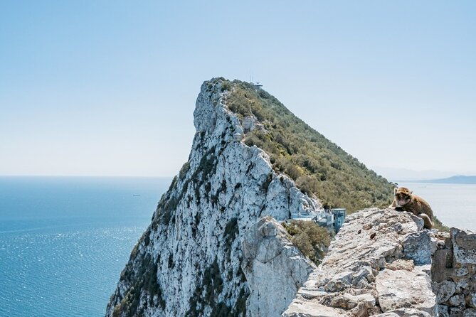 full-day-private-tour-to-gibraltar-from-malaga