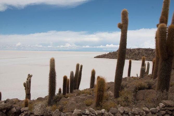 full-day-salar-sunset-and-stars-magic-salar