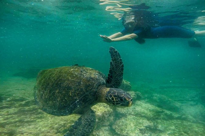 full-day-santa-fe-playa-escondida-snorkeling-tour