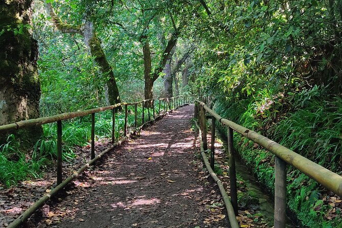 full-day-self-guided-hike-in-caldeirao-verde-levada-2