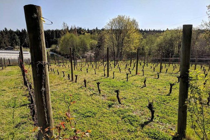 full-day-small-group-bainbridge-island-wine-and-history-tour