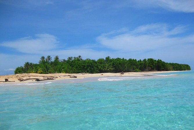 full-day-speedboat-tour-wildlife-and-snorkeling-in-bocas-del-toro-in-panama