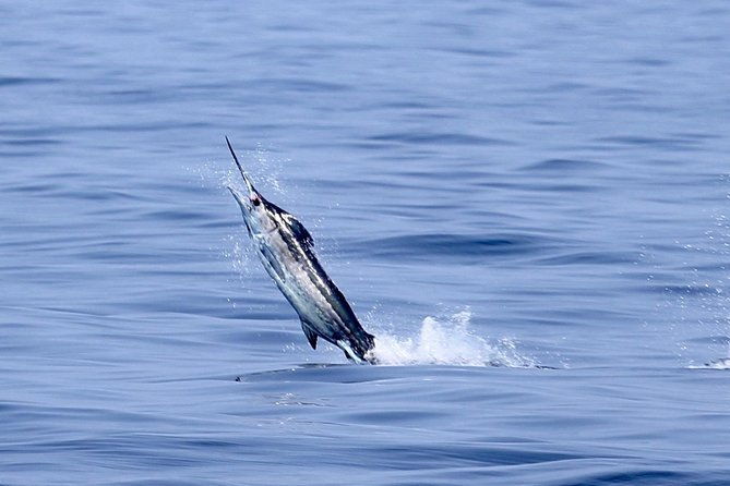 full-day-sportsman-enthusiast-charter