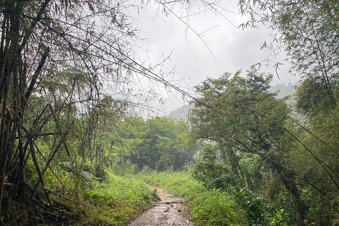 full-day-tinajas-hiking-to-el-yunque-rainforest-with-transport