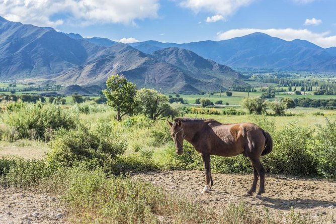 full-day-tour-cafayate-calchaqui-valleys-with-wine