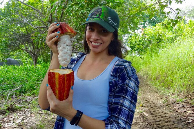full-day-tour-mangroves-dolphins-and-cocoa-farm-from-guayaquil