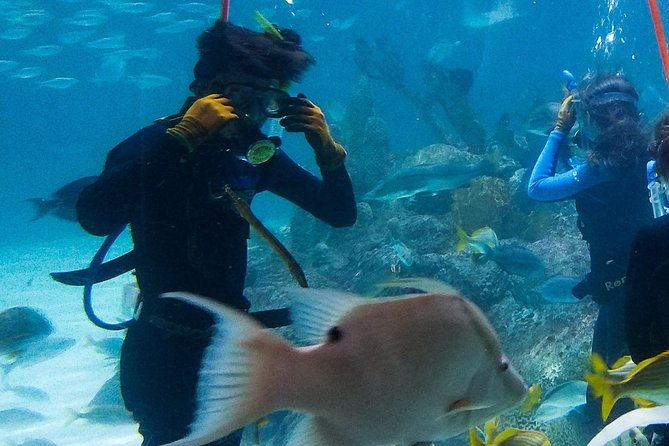 full-day-tour-of-florida-keys-including-aquarium-encounters-from-key-west-2