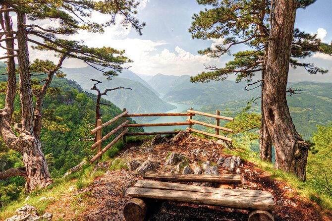 full-day-trip-from-belgrade-the-drina-river-house-and-tara-park-tour