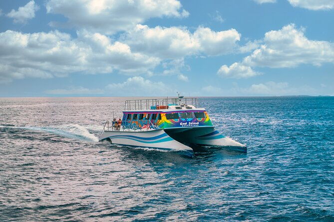 full-day-vieques-beach-tour-by-catamaran-from-fajardo