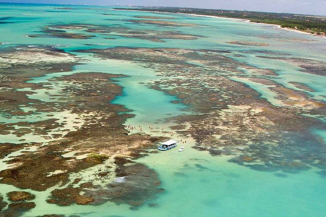 full-day-visit-to-paripueira-beach-and-tide-pools-in-maceio