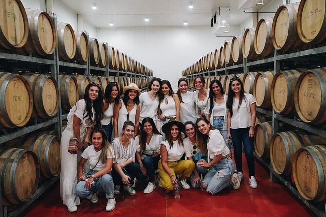 full-day-visit-to-vineyard-and-premium-tasting-in-san-miguel