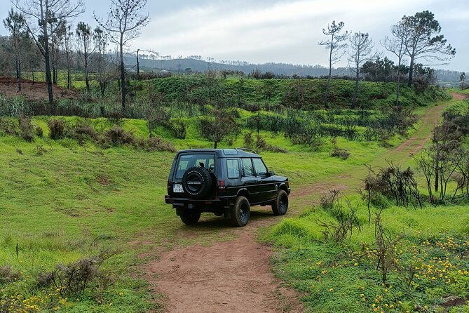 full-day-west-tour-to-porto-moniz-pools-and-fanal-forest