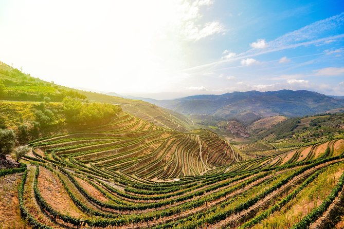 full-day-wine-tasting-river-cruise-and-lunch-from-porto