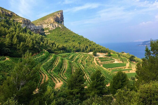 full-day-wine-tour-around-bandol-cassis-from-marseille