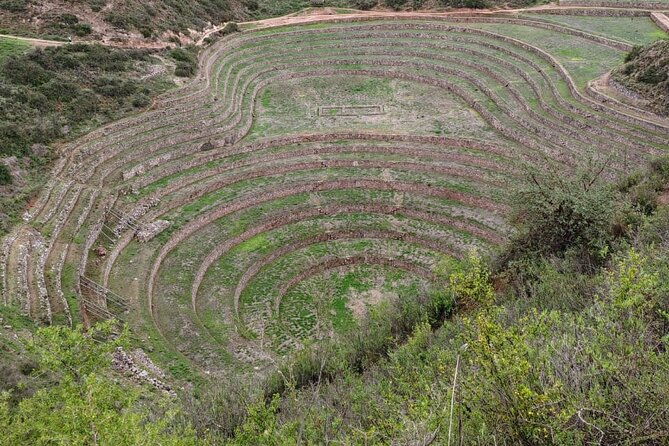 full-daysacred-valleyalpaca-farmmarasmoray-and-ollantaytambo