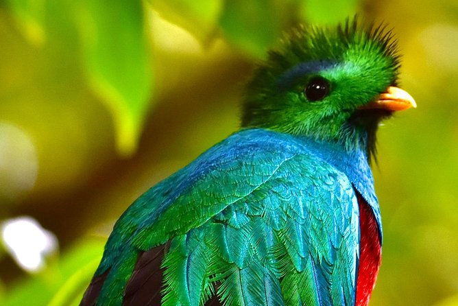fullday-birdwatching-experience-small-groups