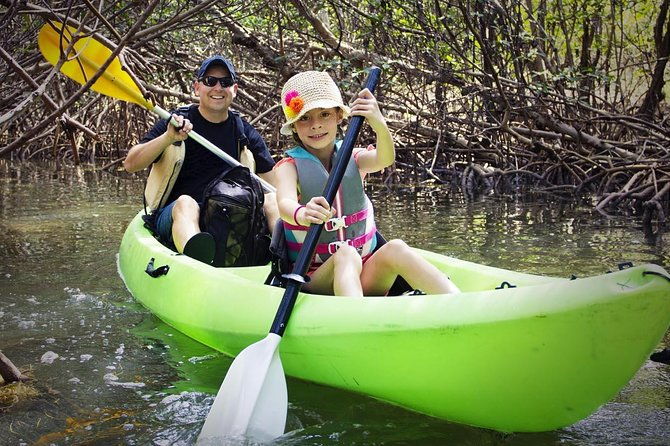 fully-guided-kayaking-backwater-manatee-and-dolphin-tour