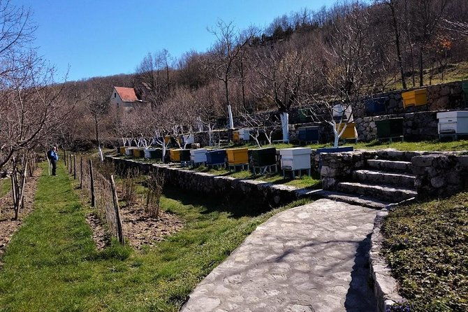 gastronomy-and-sightseeing-in-montenegro-lake-skadar-cetinje-private-tour