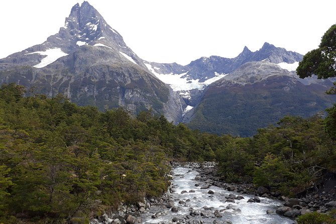 glacier-navigation-mayo-spirit-trek-3-landings-and-walk-through-the-forest