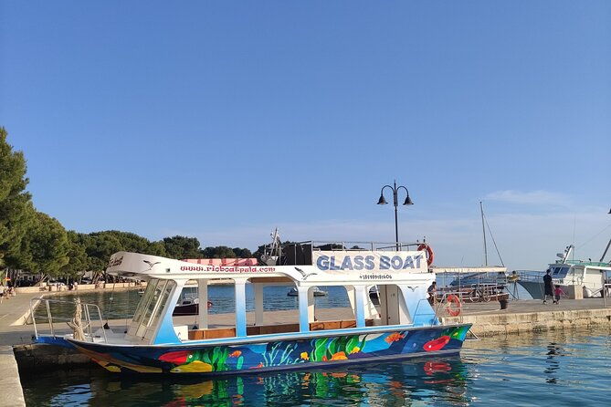 glass-boat-tour-fazana-and-panorama-national-park-brijuni