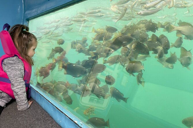 glass-bottom-boat-ride-in-redondo-beach