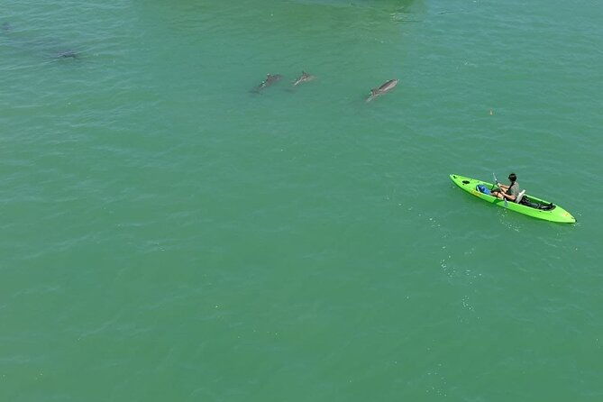 glass-bottom-kayak-mangrove-sandbar-adventure-in-st-pete-beach-2
