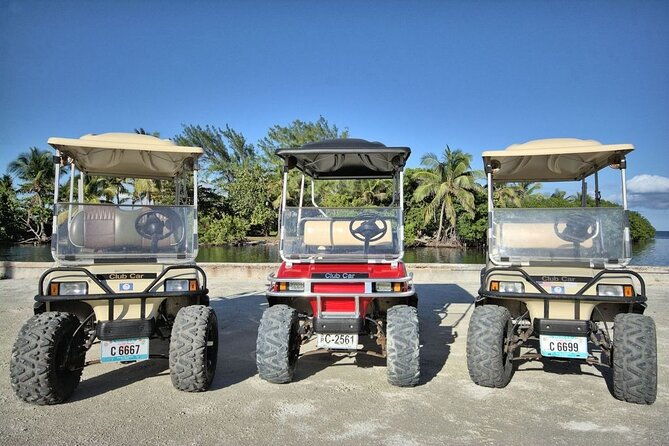 golf-cart-rental-by-group-2-6-seater