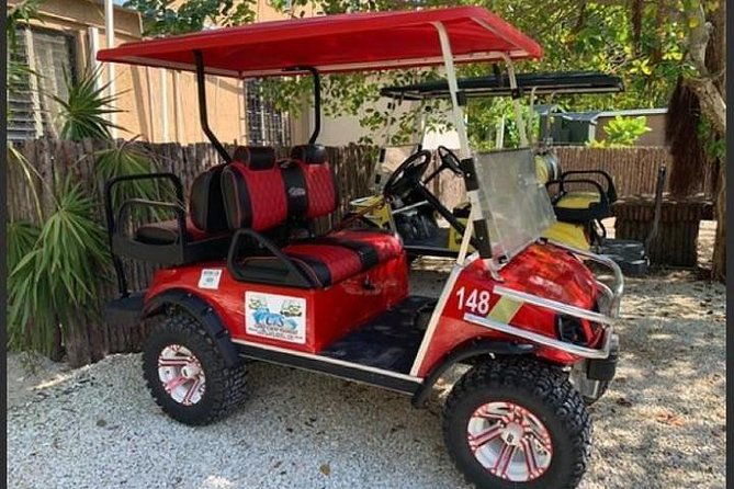 golf-cart-rental-by-group-of-2-4-seater