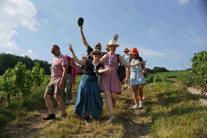 gourmet-walk-in-the-heart-of-the-vineyards-with-champagne-tasting-near-epernay