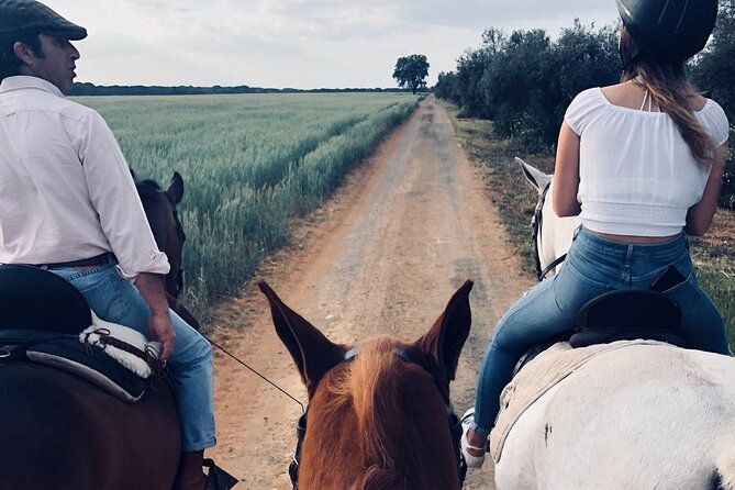 granada-sierra-nevada-horse-riding-tour