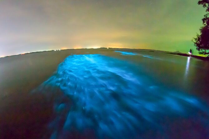 grand-cayman-bioluminescent-bay-adventure
