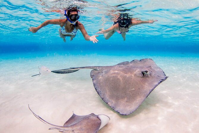 grand-cayman-stingray-city-and-reef-snorkeling-combo-tour