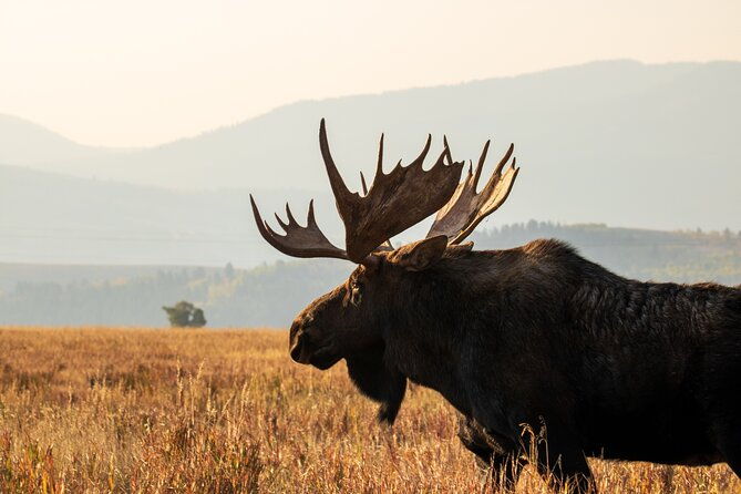 grand-teton-full-day-private-tour