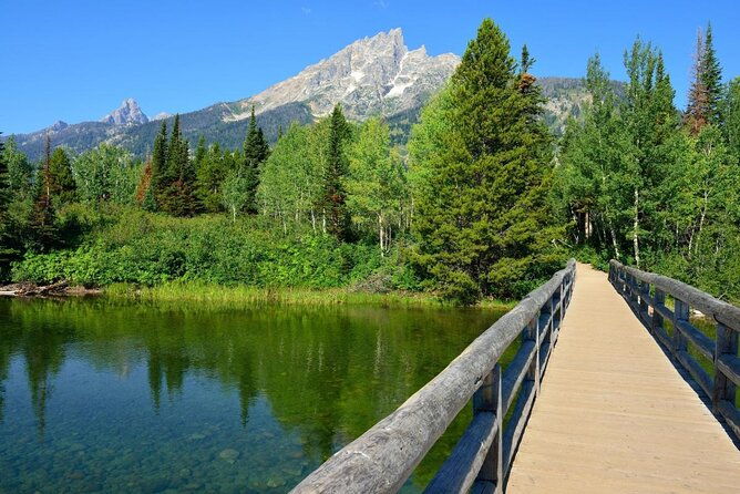 grand-teton-wildlife-safari-tour