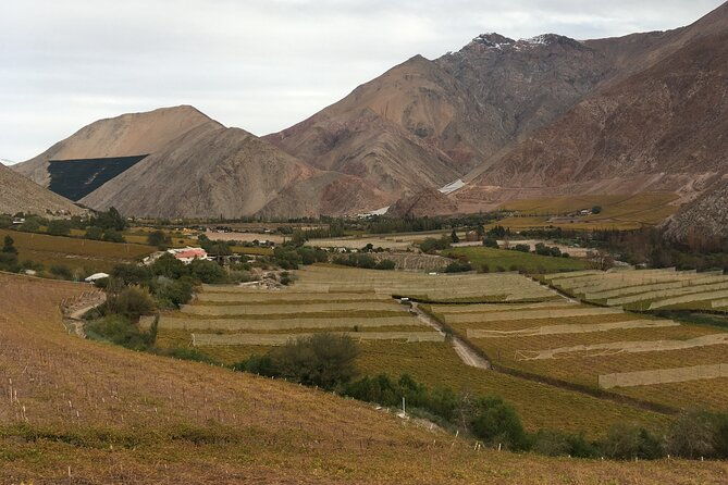 grand-tour-elqui-valley-mountains-and-cultural-treasures-of-chile