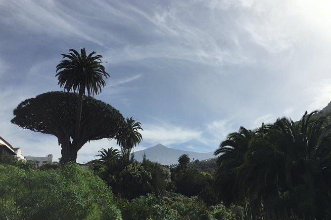 grand-tour-tenerife-full-day-private-vip-tour