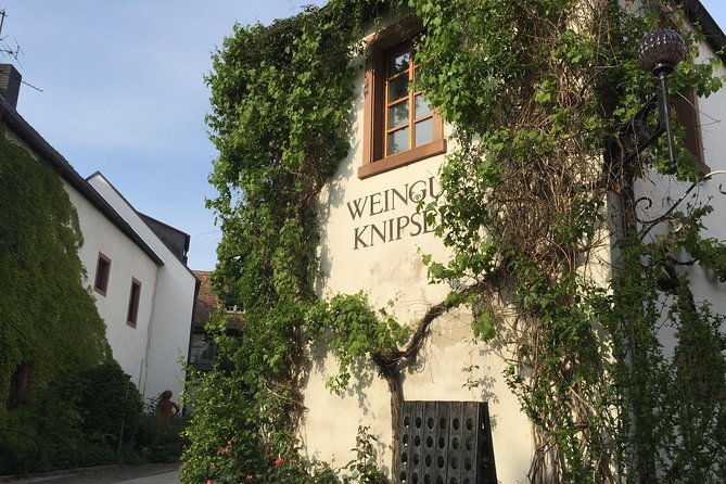 grape-day-out-pfalz-to-taste-cracking-red-wines-riesling
