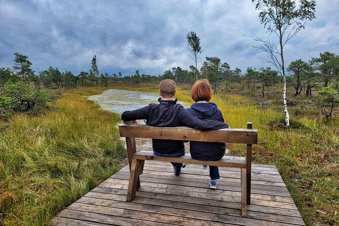 great-kemeri-bog-and-swamp-forest-hiking-adventure
