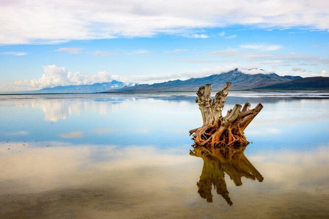 great-salt-lake-guided-bus-tour-from-salt-lake-city