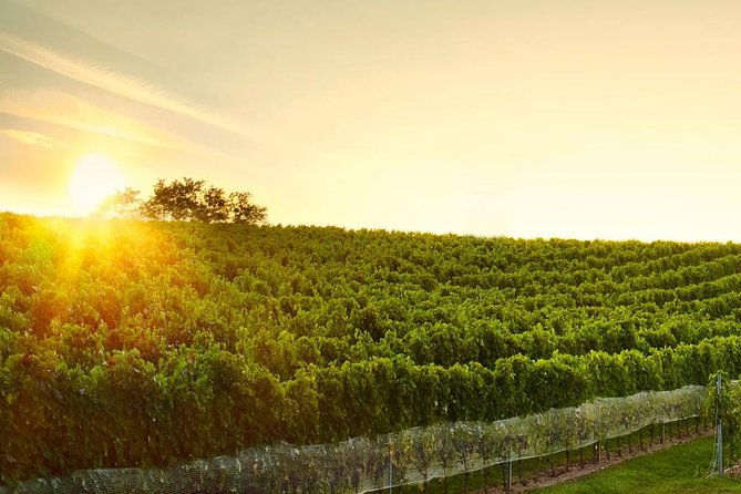 great-wine-tour-in-small-carpathian-hills