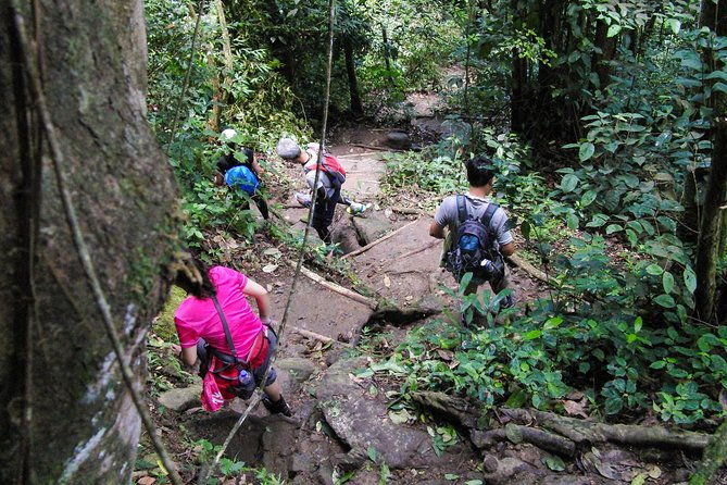 gros-piton-hiking-adventure