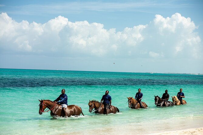 group-beach-and-ocean-horseback-adventure-in-providenciales